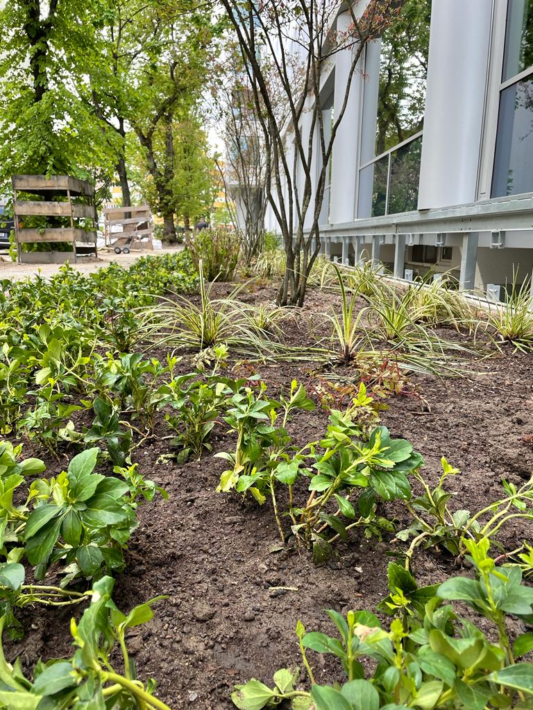 Beete und Bepflanzung